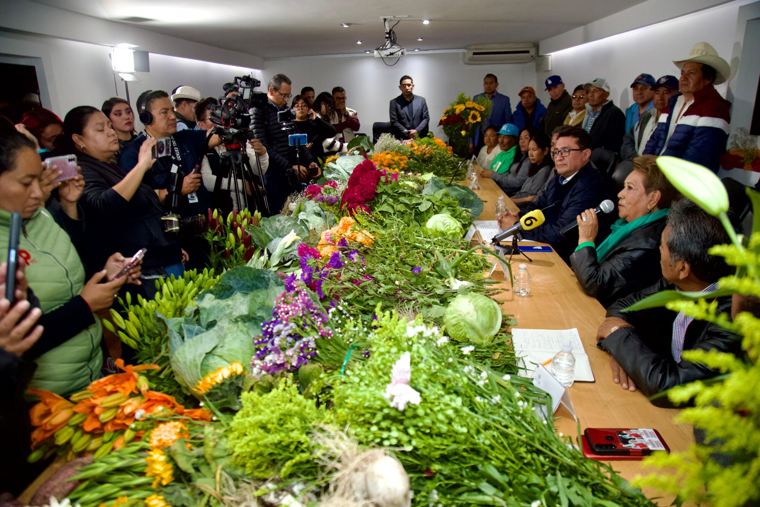 Inicia oficialmente temporada de flor de muerto o Cempasúchil