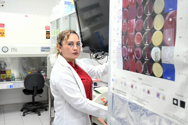Investigadora de la BUAP estudia compuestos anti-virulencia en diarreas infantiles
