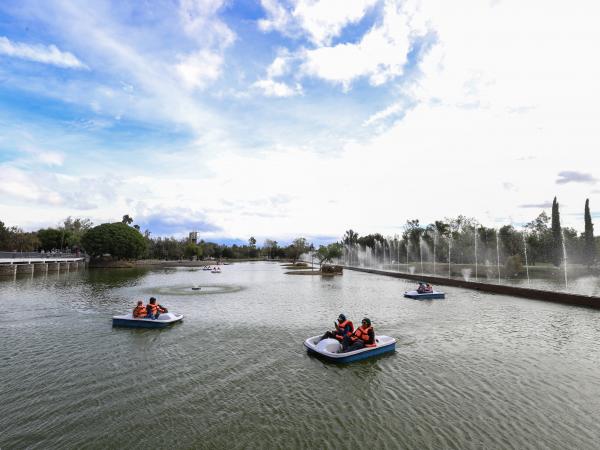 Fomenta gobierno espacios de esparcimientos seguros y dignos