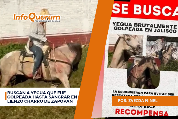 Buscan a yegua que fue golpeada hasta sangrar en lienzo charro de Zapopan