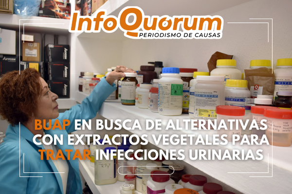 BUAP en busca de alternativas con extractos vegetales para tratar infecciones urinarias