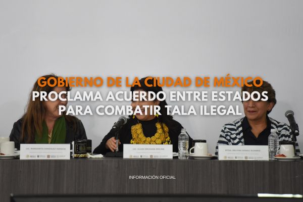 Gobierno de la Ciudad de México proclama acuerdo entre estados para combatir tala ilegal