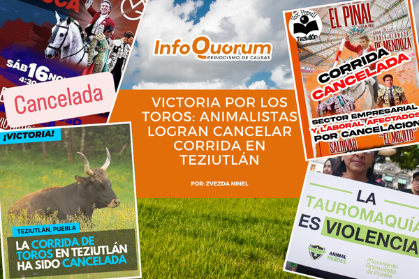 Victoria por los toros: animalistas logran cancelar corrida en Teziutlán