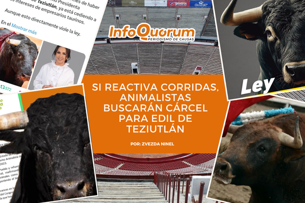 Si reactiva corridas, animalistas buscarán cárcel para edil de Teziutlán