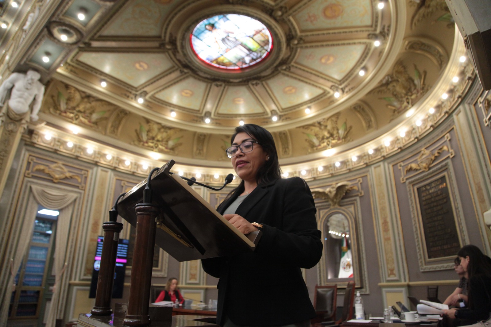 Impulsan iniciativa en el Congreso para sancionar la tauromaquia y peleas de gallos