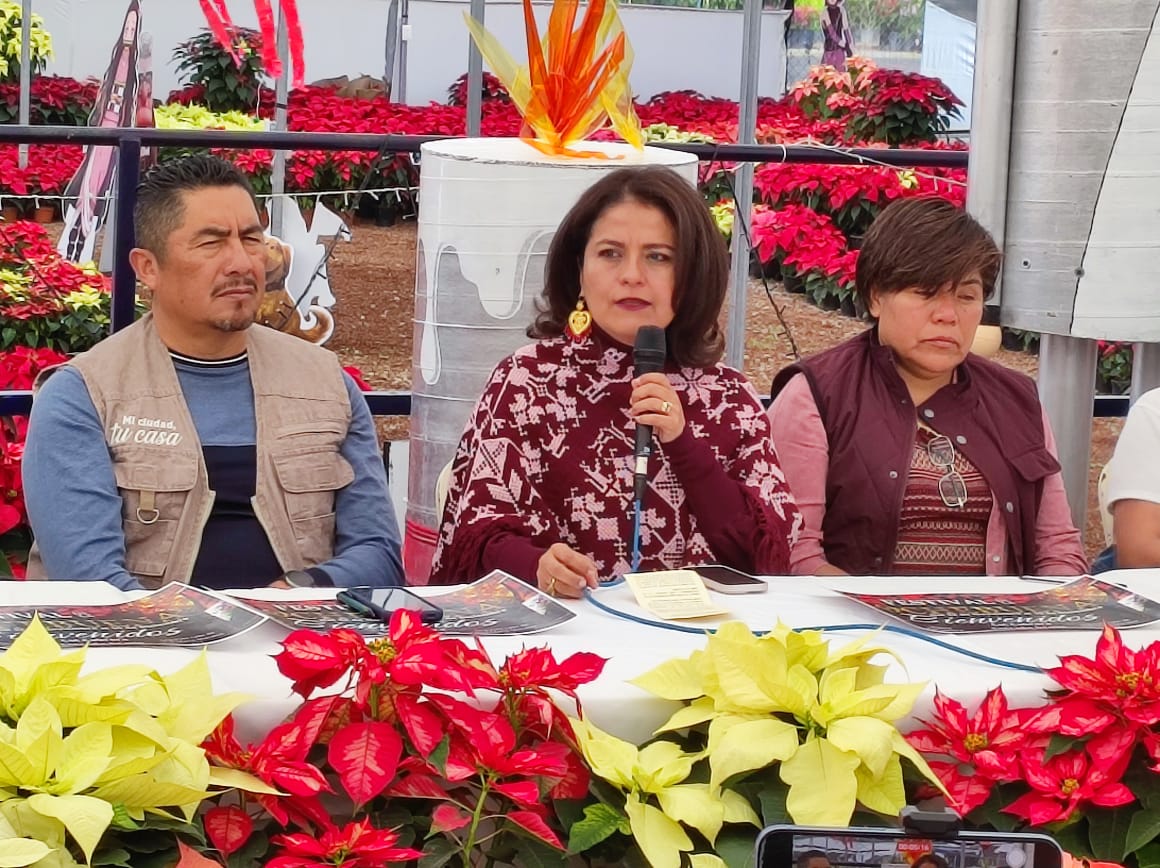 Impulsan en el Congreso temporada de flor de Nochebuena, en el municipio de Atlixco
