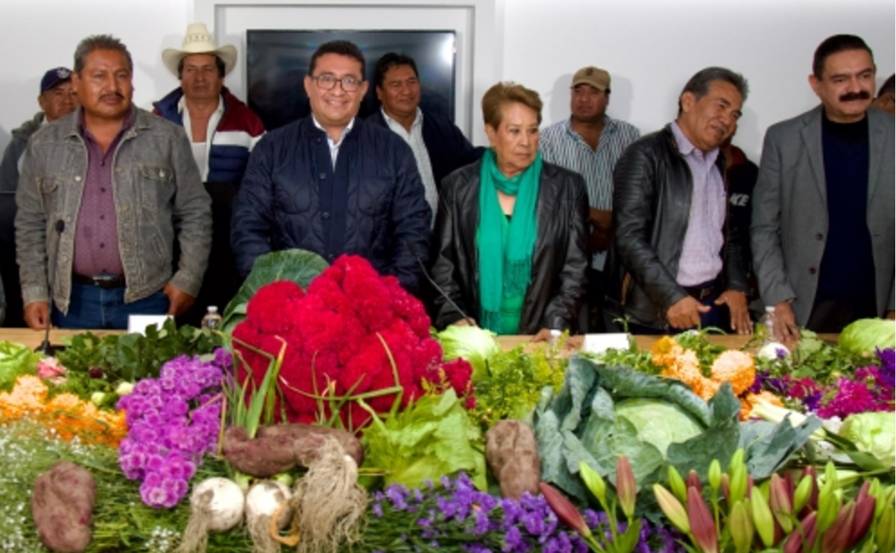 Impulsan en el Congreso del Estado a productores de flor de cempasúchil y terciopelo