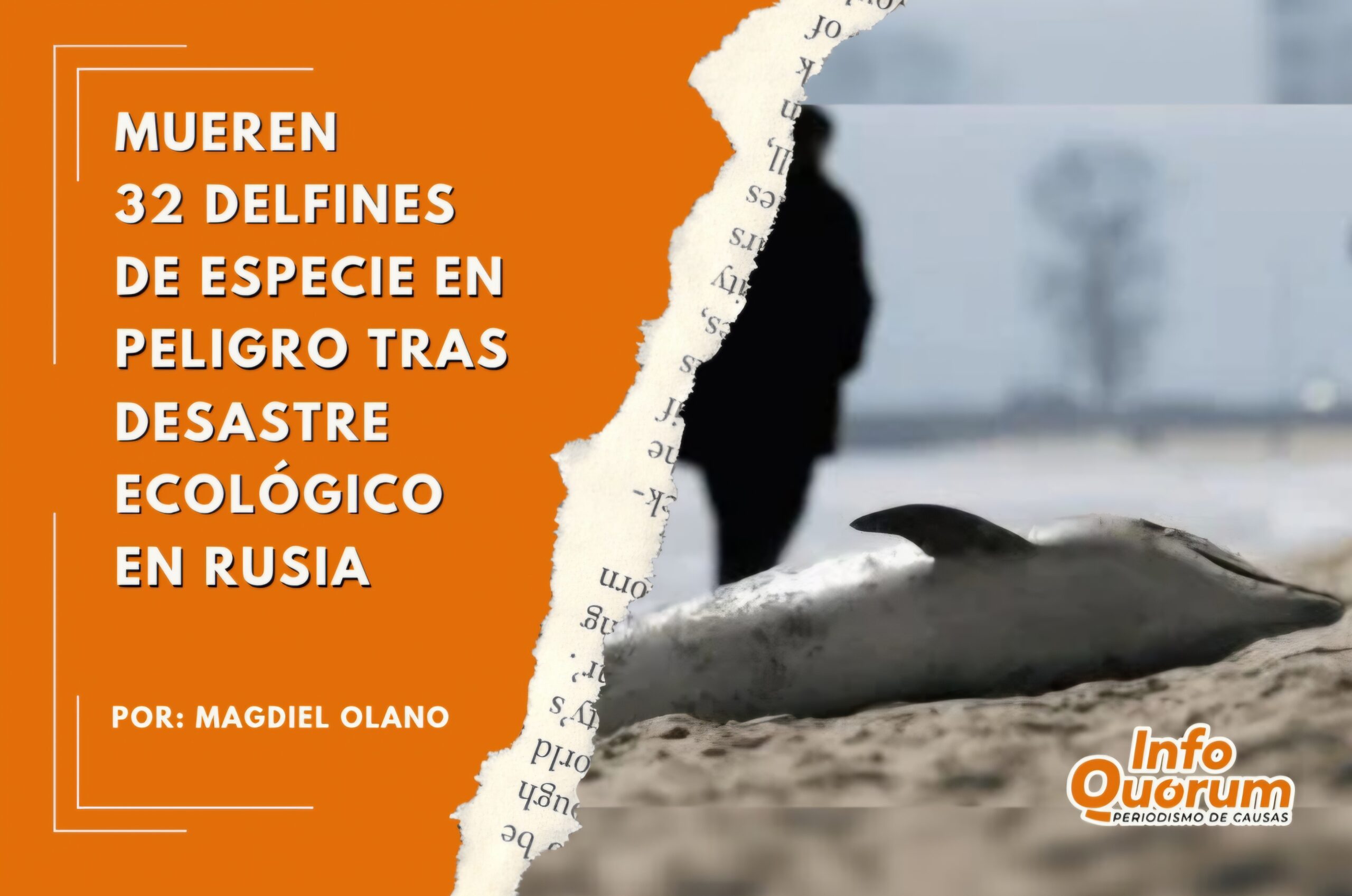 Mueren 32 delfines de especie en peligro tras desastre ecológico en Rusia