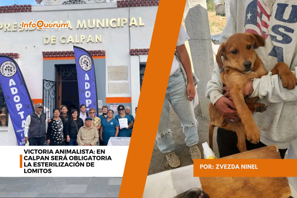 Victoria animalista: en Calpan será obligatoria la esterilización de lomitos