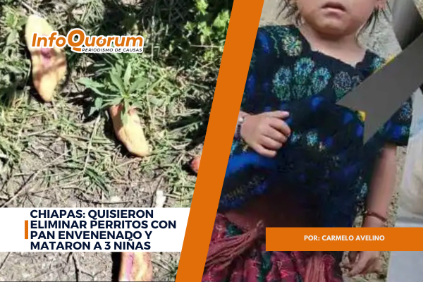 Chiapas: quisieron eliminar perritos con pan envenenado y mataron a 3 niñas