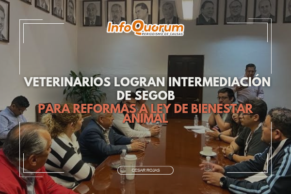 Veterinarios logran intermediación de Segob para reformas a Ley de Bienestar Animal