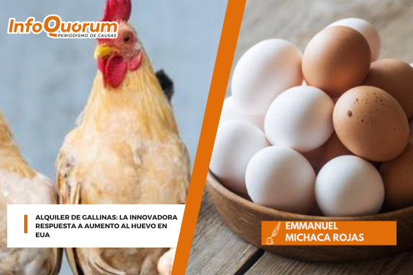 Alquiler de Gallinas: La&nbsp; innovadora respuesta a aumento al&nbsp; huevo en EUA