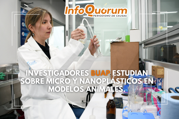 Investigadores BUAP analizan la acumulación de micro y nanoplásticos en modelos animales
