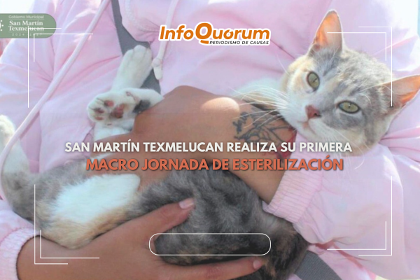 San Martín Texmelucan realiza su primera macro jornada de esterilización