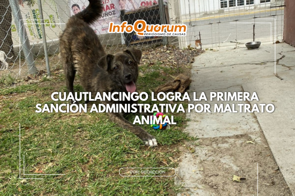 Cuautlancingo logra la primera sanción administrativa por maltrato animal