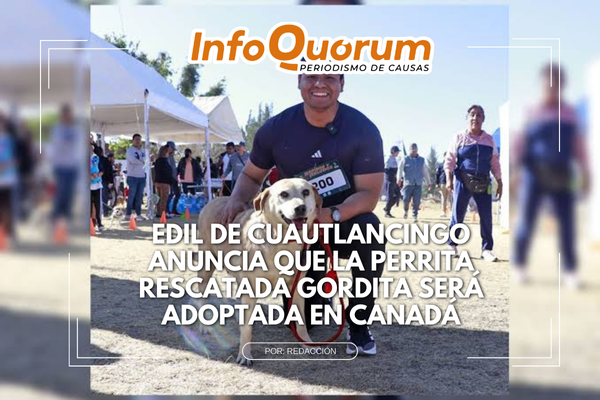 Edil de Cuautlancingo anuncia que la perrita rescatada Gordita será adoptada en Canadá