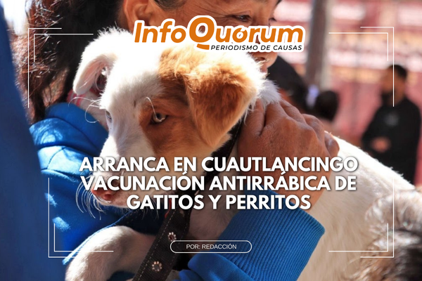 Arranca en Cuautlancingo vacunación antirrábica de&nbsp; gatitos y perritos