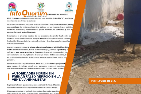 Autoridades siguen sin frenar falso refugio en La Venta: animalistas