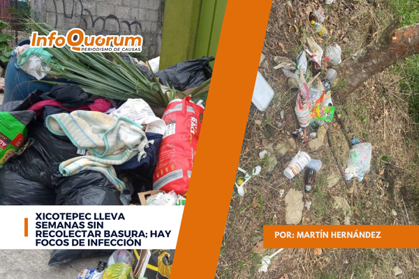Xicotepec lleva semanas sin recolectar basura; hay focos de infección