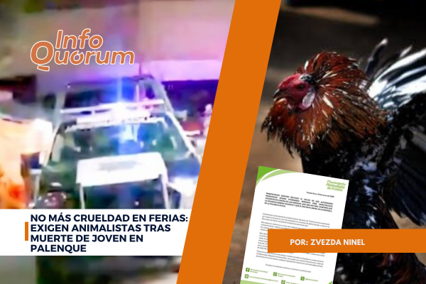 No más crueldad en ferias: exigen animalistas tras muerte de joven en palenque