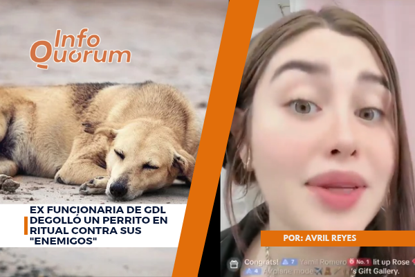 Ex funcionaria de GDL degolló un perrito en ritual contra sus “enemigos”