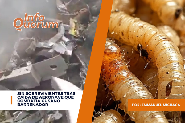 Sin sobrevivientes tras caída de aeronave que combatía gusano Barrenador