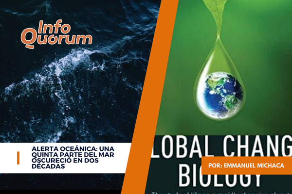 Alerta oceánica: una quinta parte del mar oscureció en dos décadas 