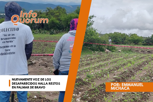 Nuevamente Voz de los desaparecidos halla restos en Palmar de Bravo