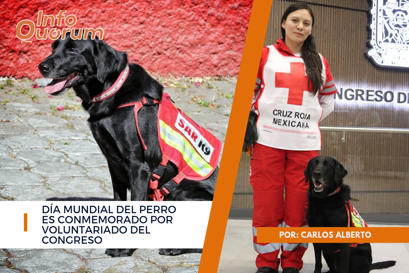 Día mundial del perro es conmemorado por voluntariado del Congreso