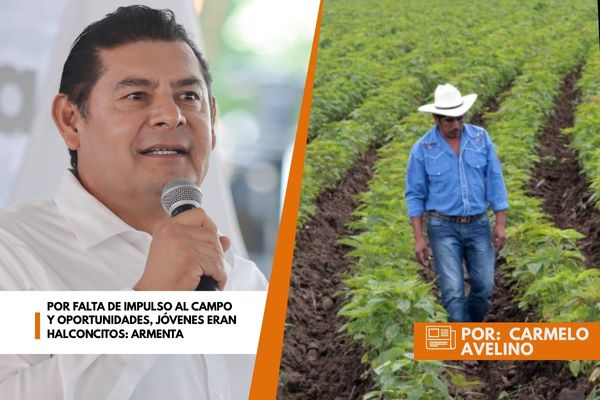 Por falta de impulso al campo y oportunidades, jóvenes eran halconcitos: Armenta