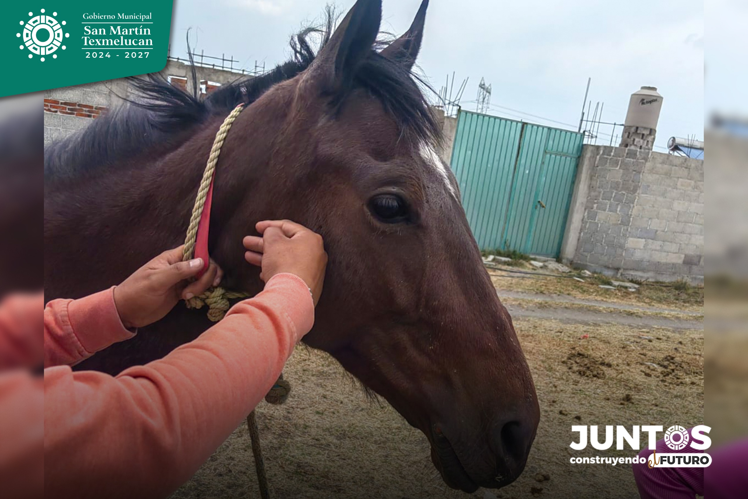 Instalan ministerio para la protección de animales en San Martín, Texmelucan