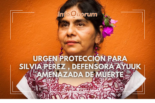 Urgen protección para Silvia Pérez, defensora Ayuuk amenazada de muerte
