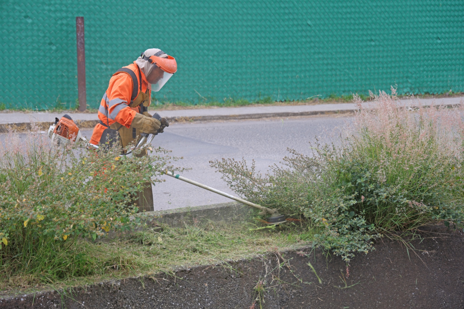 Omar Muñoz encabeza faena comunitaria en Sanctorum para dignificar Cuautlancingo