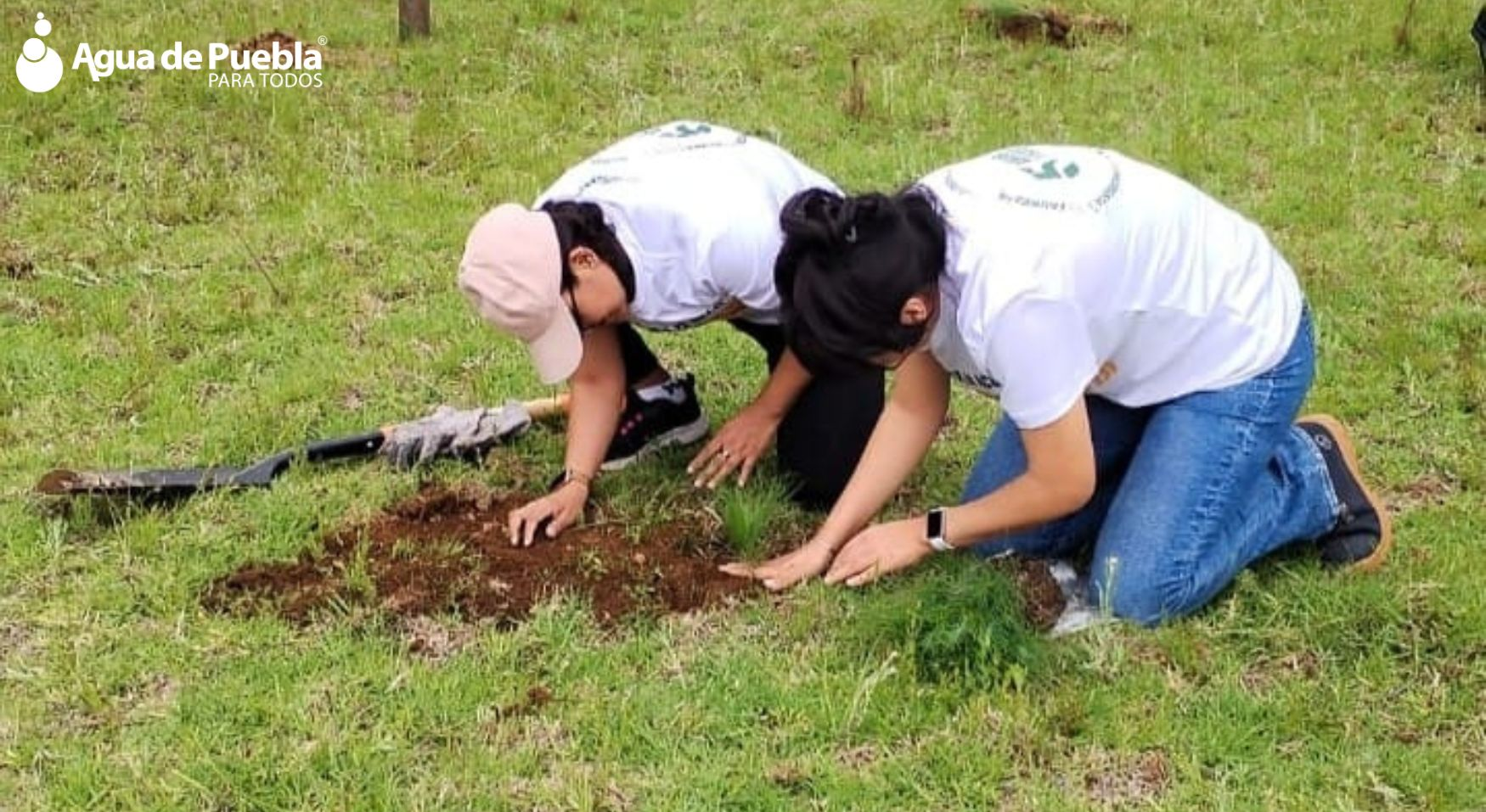 Agua de Puebla realiza con éxito la Campaña de Reforestación 2025 “Siembra Vida”