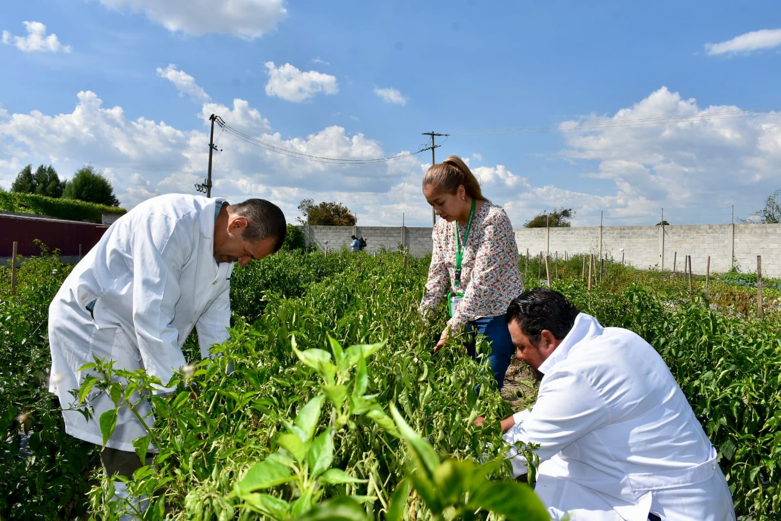 Verifican que rastro de Texmelucan cumple la norma sanitaria