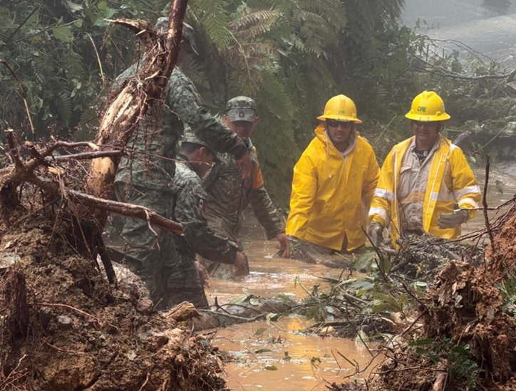CFE restablece el servicio eléctrico al 84% de usuarios afectados por lluvias