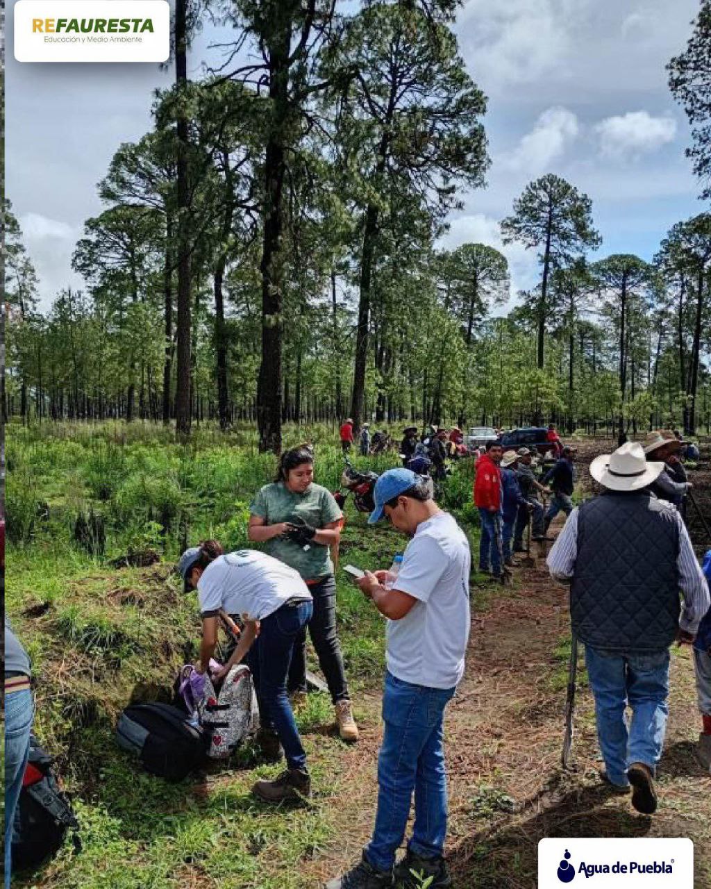 Agua de Puebla cumple 5 años de siembra de árboles con Refauresta