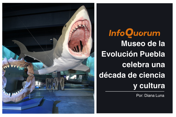 Museo de la Evolución Puebla celebra una década de ciencia y cultura