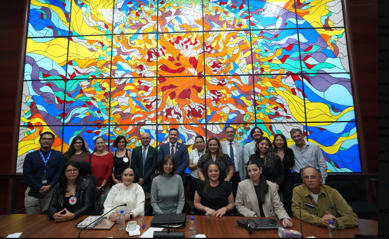 INM dialoga con academia y ONG sobre reforma a Ley de Migración