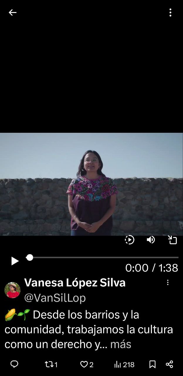 30 colectivas feministas sugieren curso en violencia de género para la regidora Vanesa López