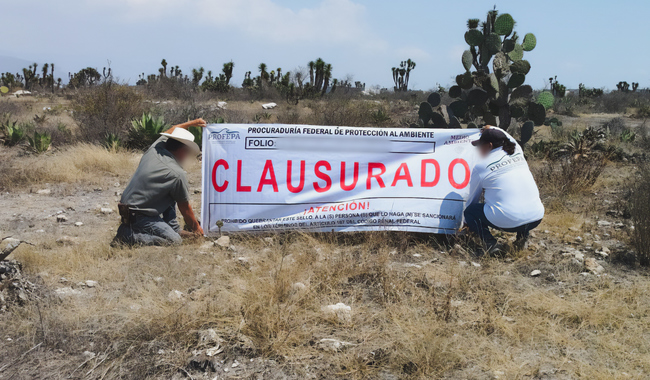 Profepa clausura obras ilegales en la Reserva de la Biosfera