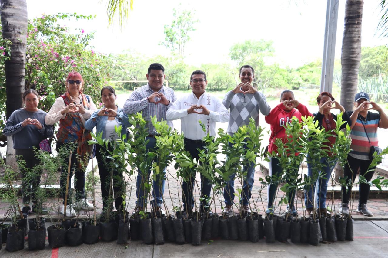 Congreso impulsa jornadas de reforestación en San Juan Epatlán y Chiautla de Tapia