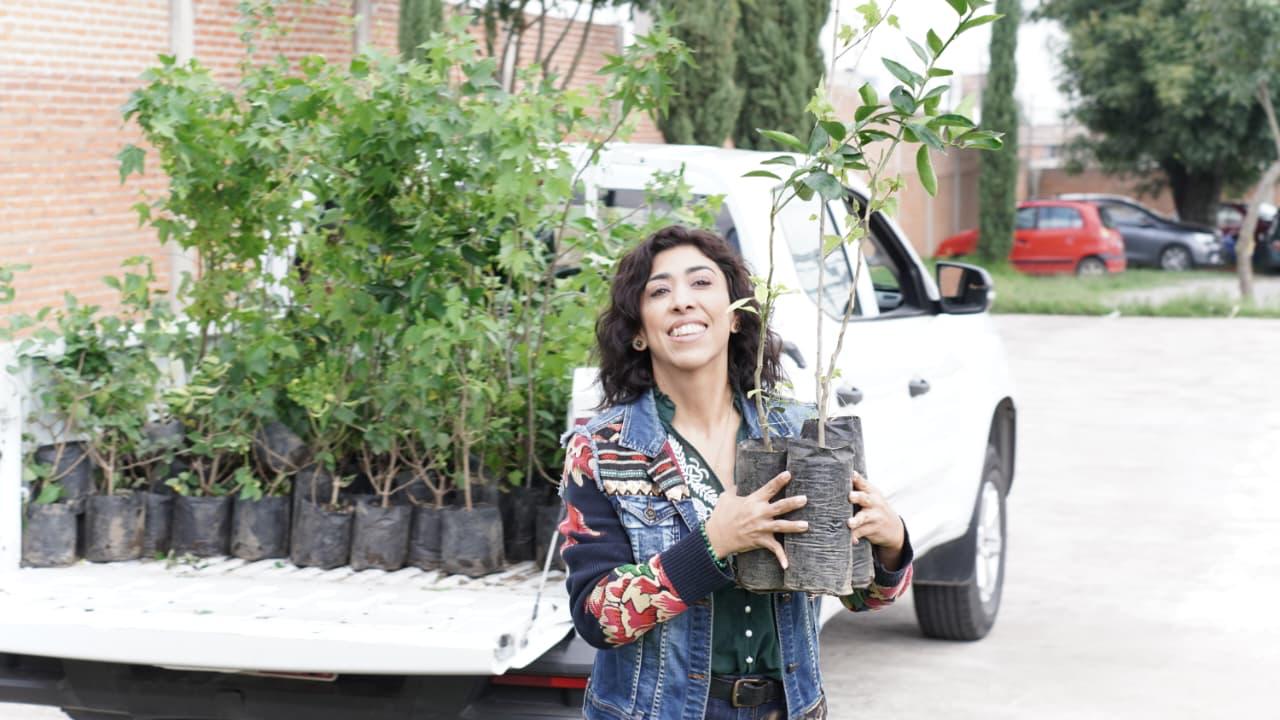 Legisladora promueve jornadas de reforestación en escuelas