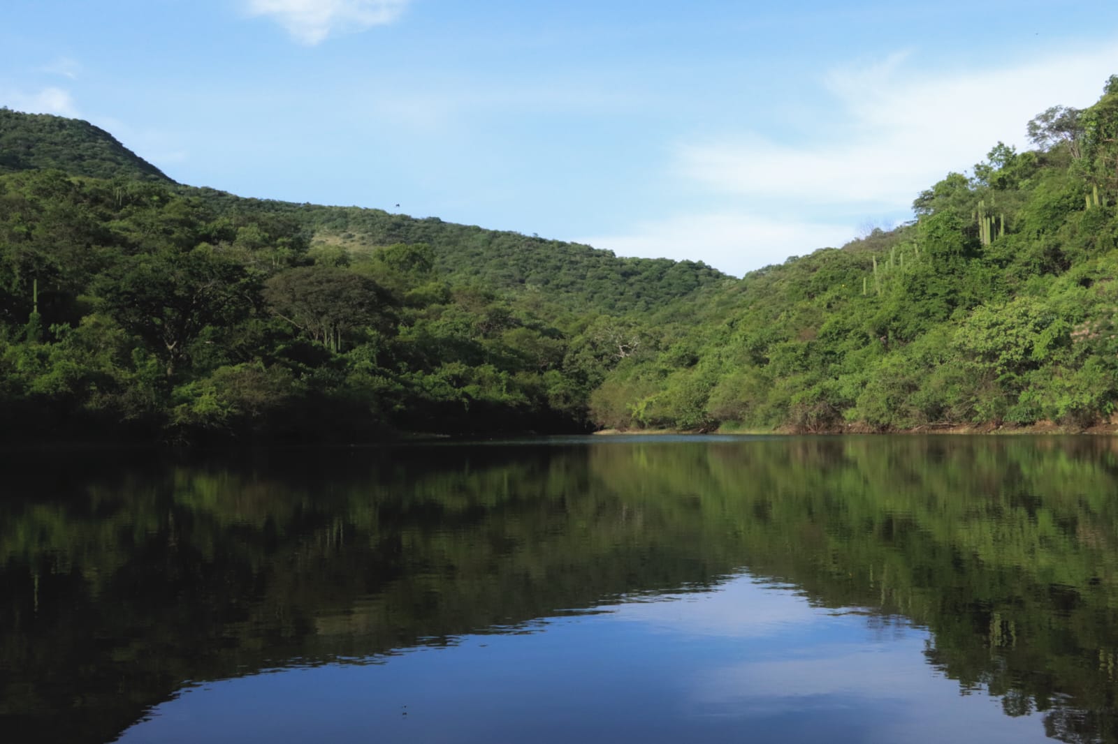 Congreso respalda proyectos de ecoturismo y desarrollo sustentable en la Mixteca poblana