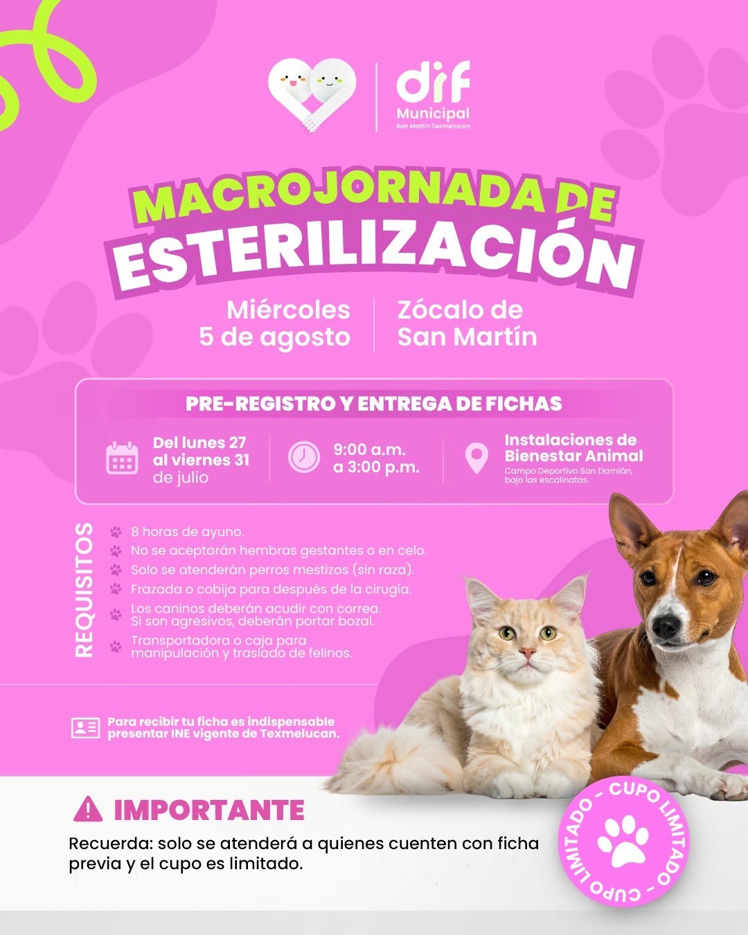 DIF municipal de Texmelucan anuncia Macrojornada de Esterilización