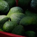 Aguacate Mexicano