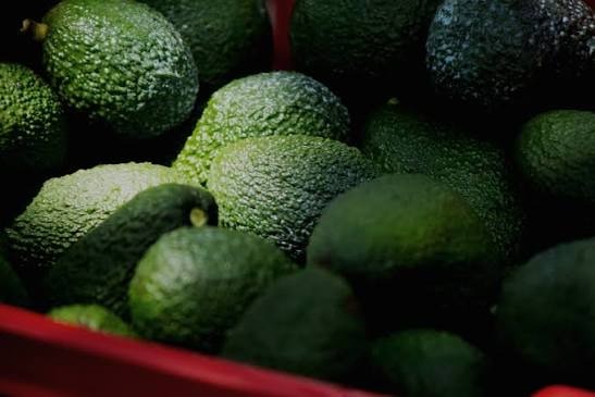 Aguacate Mexicano