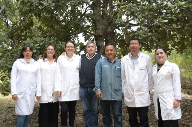 Crean nanomateriales en la BUAP para combatir plagas por gusano barrenador