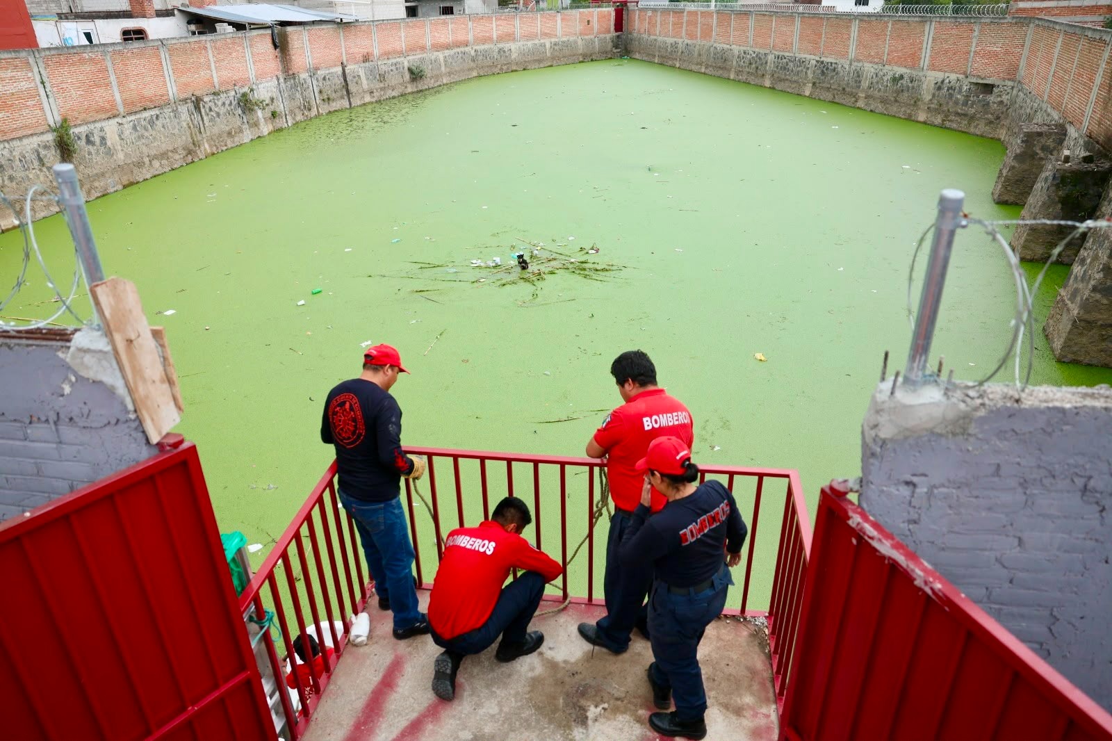 Bomberos de Cuautlancingo rescatan con éxito a perrito en vaso regulador