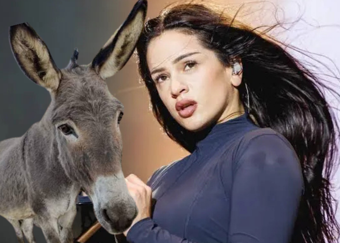 Burrolandia rifa boletos de primera fila para Rosalía